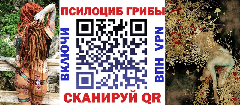 Псилоцибиновые грибы Psilocybe  где купить   Туран 